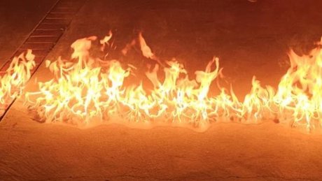 Dayle star free photo