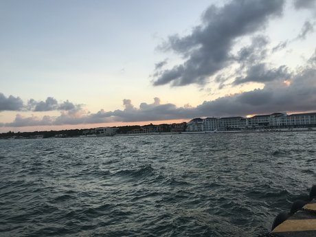 powerN0E perfect actress pic