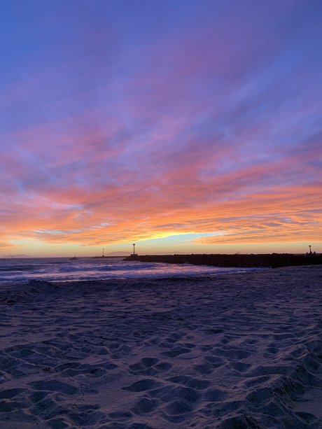 Damon free actress galleries