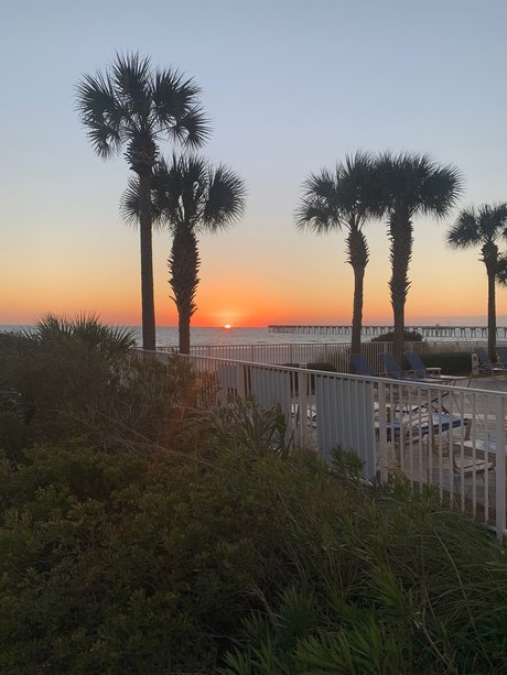 Bradley Colin Lee star pornographic pictures