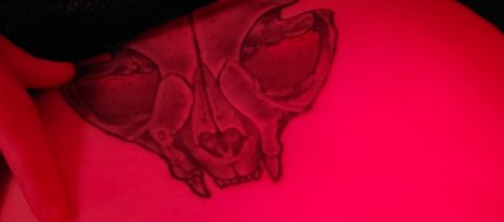 PlagueDaddy pornstar perfect image