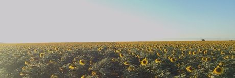 whosthere perfect actress images