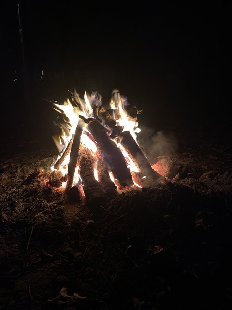 Pipelayer35 naked pornstar images