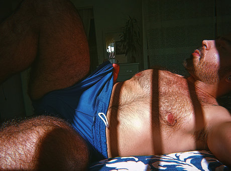 FELIPE HENAO perfect pornstar image