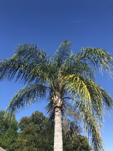 Pink Pocket nudes star pictures