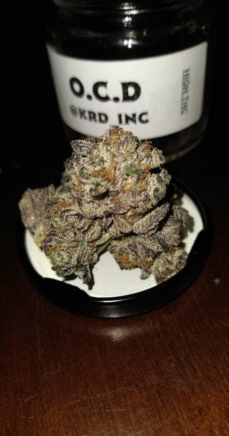 PimpinaintEz adult model pictures