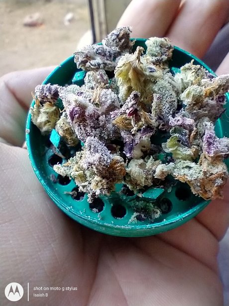 PimpinaintEz pornstar sex photos