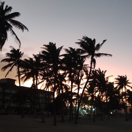 PIELCANELAFeet model adult photo