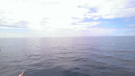 Petr Vert sexy star gallery