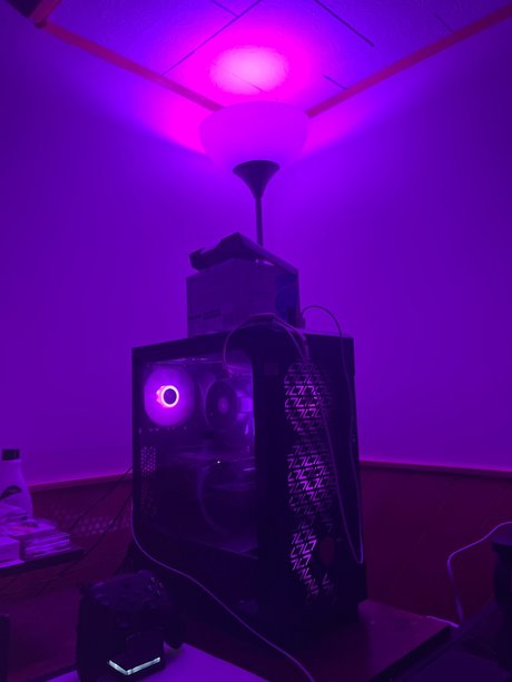 Lilian Marie hd actress picture