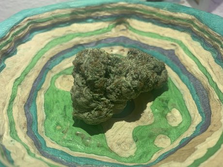 Johnny Depth erotic actress galleries