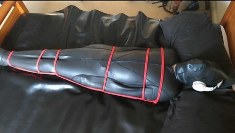 Pup Valto xxx star pics