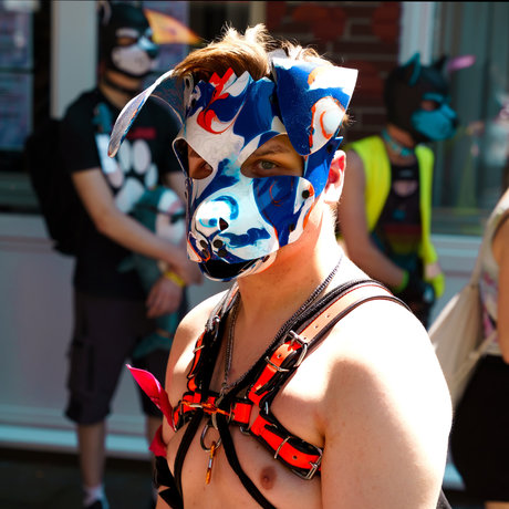 Quentin the pup pornstar art picture