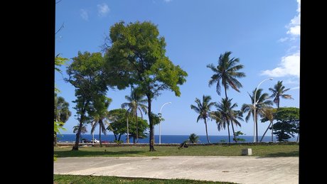 Puggi Mega Divo nice pornstar photo