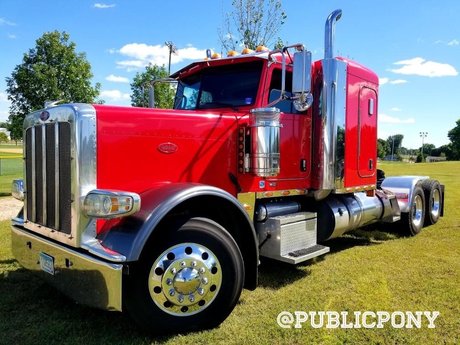 Public Pony star xxx pictures