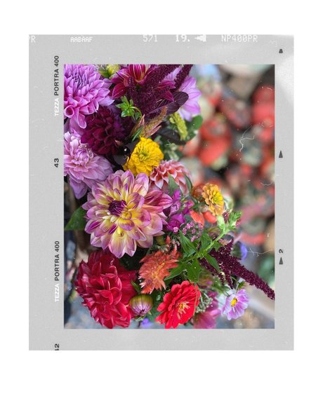 _Psychic Booty_ perfect pornstar photos