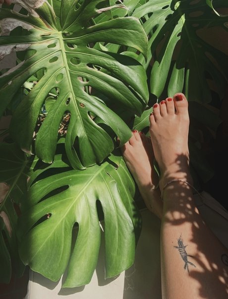 Profeeterole pornstar hot img