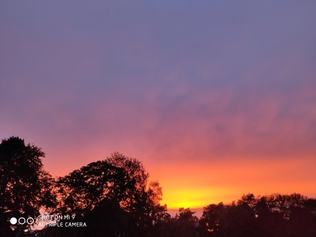 Mey_ adult model archive