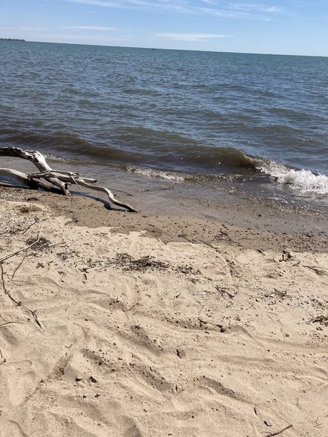 PrincessGlitterSparkles pretty model image