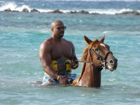 Riley Cox art pornstar images