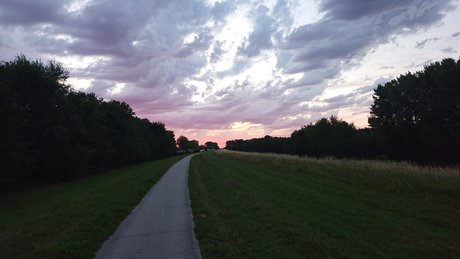 Rico1975 model sexy archive