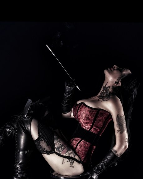 Rhina6 model perfect img