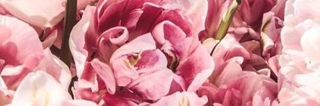 redhoneybaby sexy actress picture