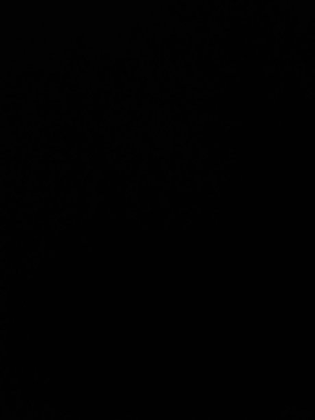 Ray Rocci high quality actress picture