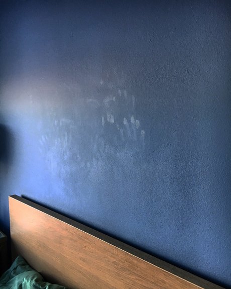 ray vox naked pornstar pics