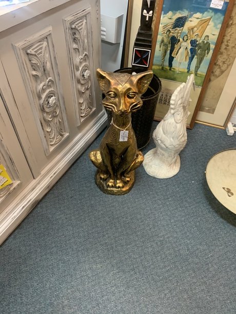 Bones perfect star pic