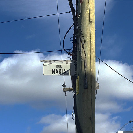 u25741223 star pornographic image