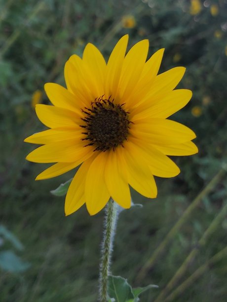 Mari1007 nudes model images