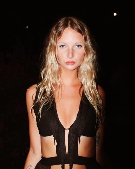 mapinut star high quality photo