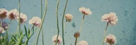 Niki Rae_ perfect actress archive