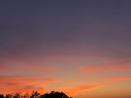 Mars Collapses high quality actress picture