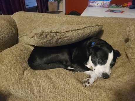 MarriedinLawrence model high quality photo