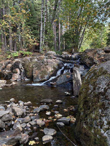 El Rio_ star pretty gallery