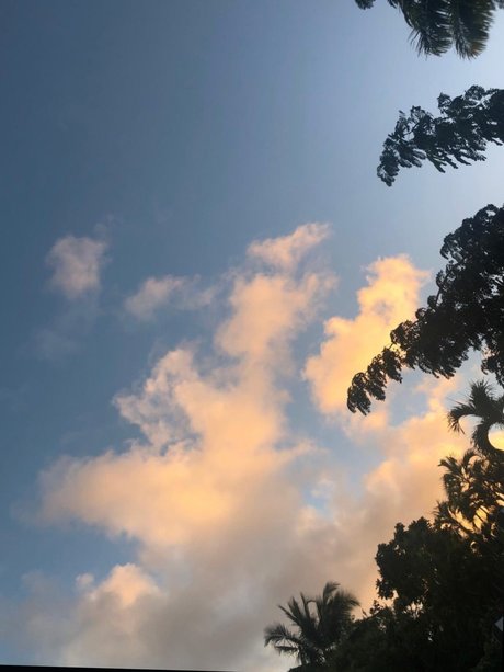 Marilou best star archive