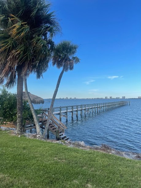 Twinkie cupcake star art pictures