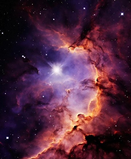 barbaratrevi pornstar art picture