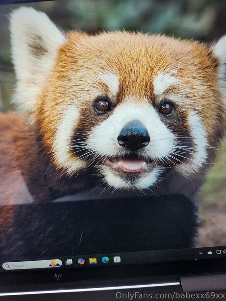 BabeXX69XX high quality pornstar img