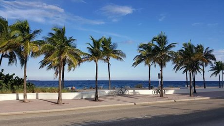 Ashton Keily pornstar img