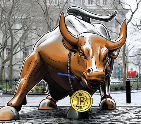 FreeChoice star best pictures