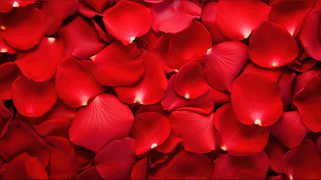 _Banaia Jordan_ top star images