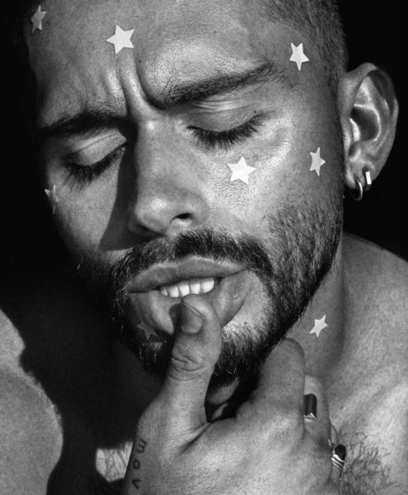 MAVERICK_ model images