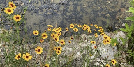 Bananacakes_ pretty actress galleries