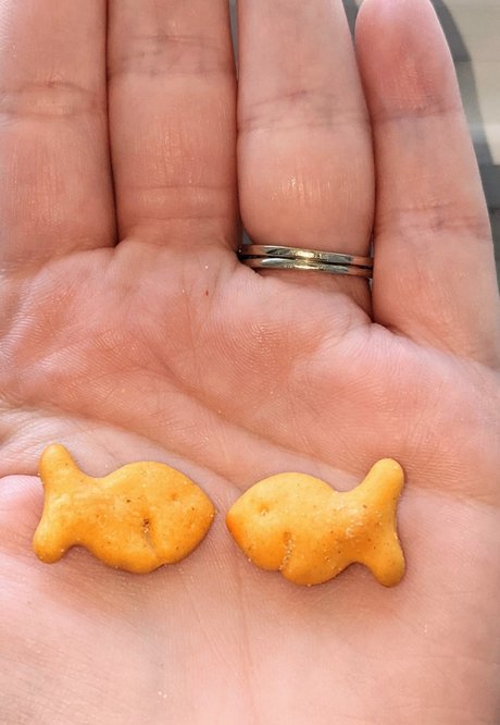 Banana amp amp Milkshakes erotic model photo