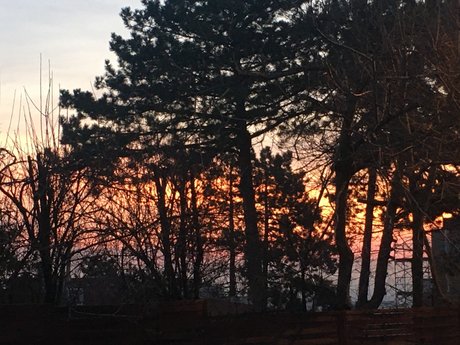 Matthiek art actress galleries