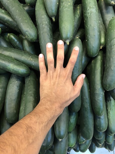 matica de pelo nice actress pic