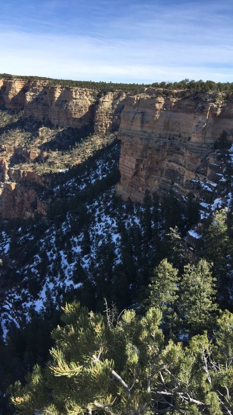 Toney perfect pornstar photos